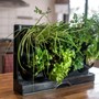 GreenWall Benchtop Planter with Water Tray