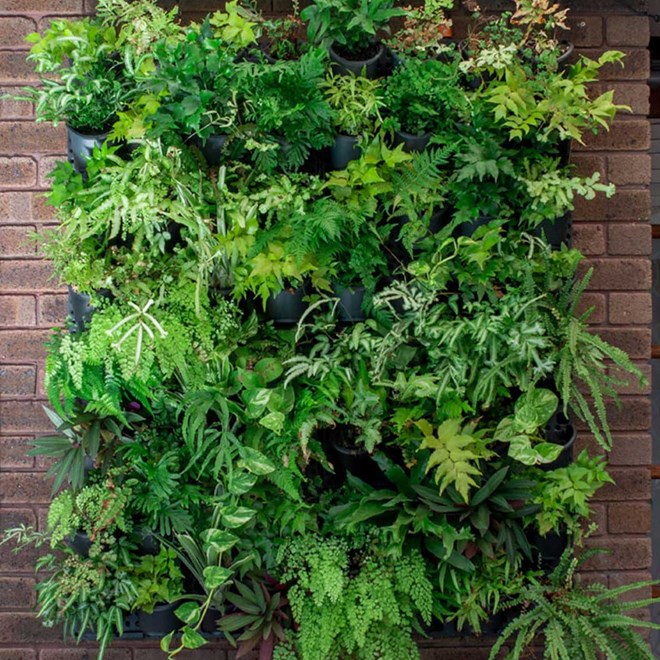 GreenWall Vertical Garden Kit with Irrigation System