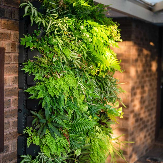 GreenWall Vertical Garden Kit with Irrigation System