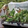 Large Raised Garden Bed with VegeCover