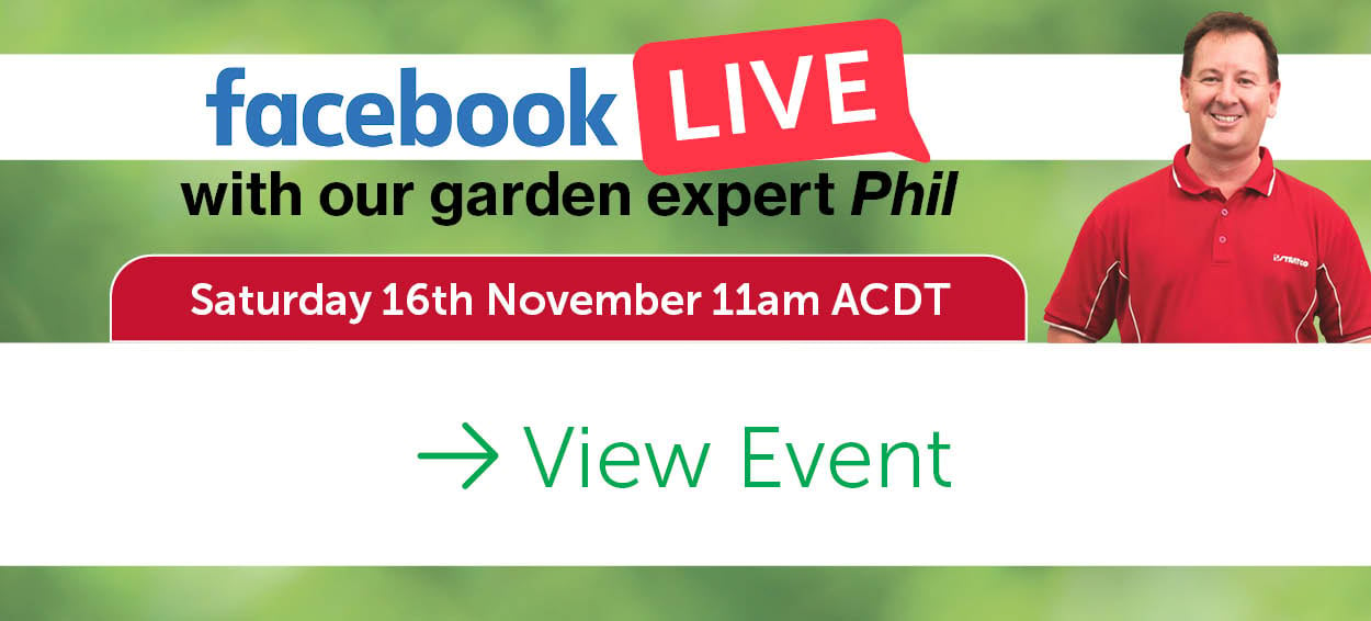 Nov-24-GardenLive.jpg